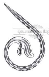 Кованый вензель, завиток арт. 984 разм. 19x12
