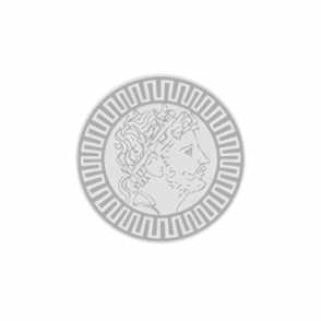 Кованая декоративная панель, розетка арт. SK53.23 разм. 120x1000