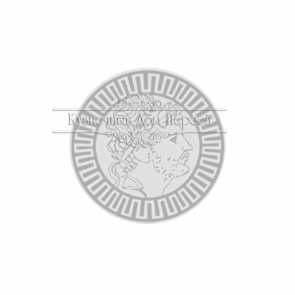 Кованая прокатная полоса арт. 126ПКБитая разм. 12x6